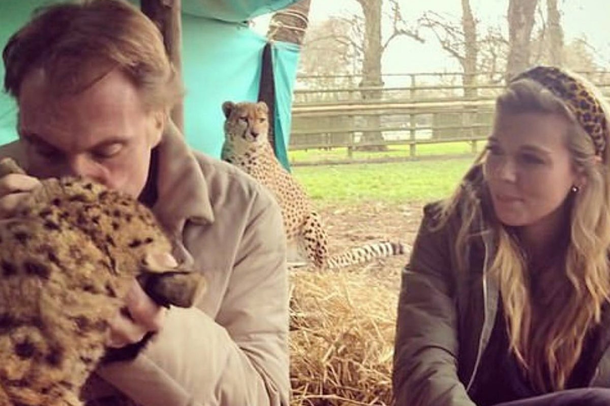 Troubleshooters sent in at wildlife charity linked to Carrie Johnson
